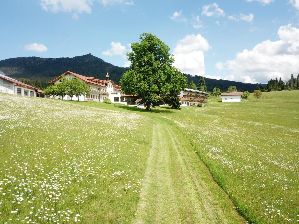 Osserhotel - B&B Am Osser Lohberg Extérieur photo
