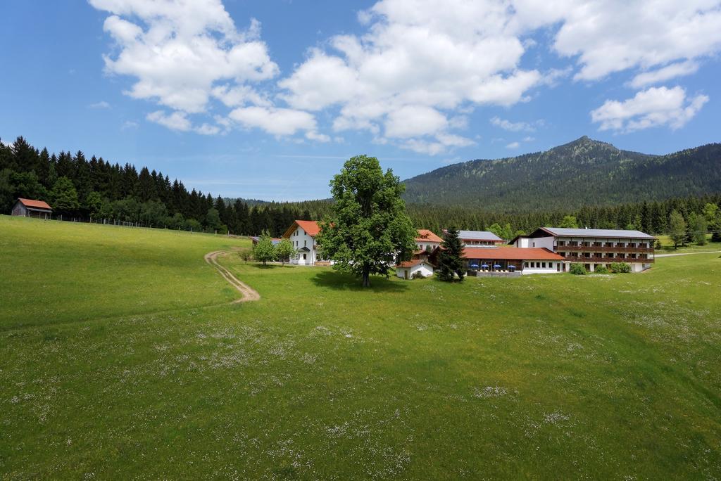 Osserhotel - B&B Am Osser Lohberg Extérieur photo